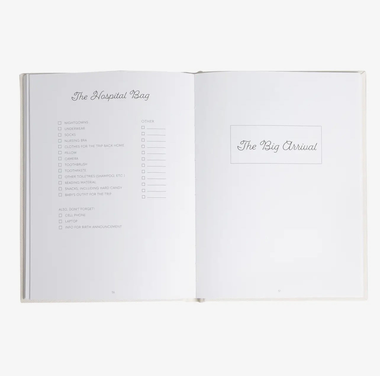 Pregnancy Memory Journal - Best Seller